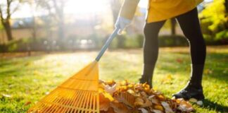 ‘Fall back’ into some good health habits ‘Fall back’ into some good health habits