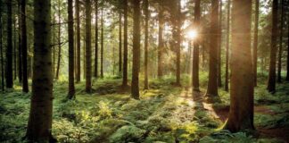 25 Wellness ‘Ins’ And ‘Outs’ For 2025 25 Wellness ‘Ins’ And ‘Outs’ For 2025