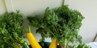 5 Nutrition Trends Set To Take Over 2025 5 Nutrition Trends Set To Take Over 2025