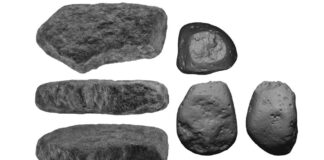 Archaeological study challenges “palaeo” diet claims about ancient hunter-gatherers Archaeological study challenges “palaeo” diet claims about ancient hunter-gatherers