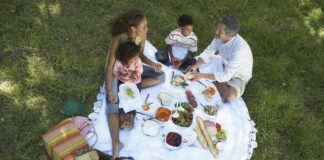Healthy habits to adopt in 2025 Family Having a Picnic