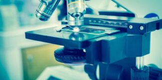 Hoth Therapeutics Soars 215% on Breakthrough Cancer Treatment Success Hoth Therapeutics Soars 215% on Breakthrough Cancer Treatment Success