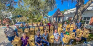 Master Gardener Volunteers harvest wellness benefits An owl box construction project by Master Gardener Volunteers.