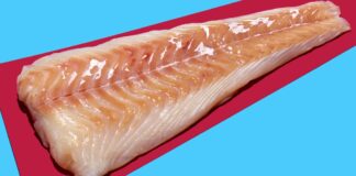 Should You Eat More Protein? Should You Eat More Protein?