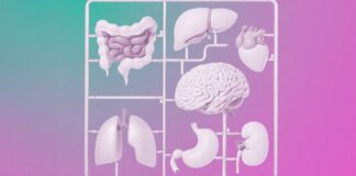 Stem-cell therapies that work: 10 Breakthrough Technologies 2025