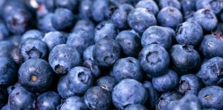 4 Evolving Nutrition Trends Transforming Health 4 Evolving Nutrition Trends Transforming Health