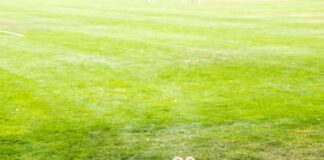 4 must-try tips to manage stress over finals | Health & Wellness Services 4 must-try tips to manage stress over finals | Health & Wellness Services