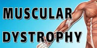 Breakthrough Cell Therapy Enables Becker Muscular Dystrophy Patient To Walk Again Breakthrough Cell Therapy Enables Becker Muscular Dystrophy Patient To Walk Again