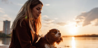 Dog wellness routines aren’t necessary, says vet Woman holding dog’s paw at sunset