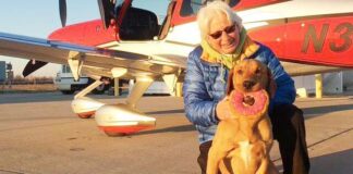 Endowed scholarship to support students prioritizing small animal wellness | News Endowed scholarship to support students prioritizing small animal wellness | News