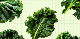 Health Benefits of Kale, Nutrition Info and Recipes Health Benefits of Kale, Nutrition Info and Recipes