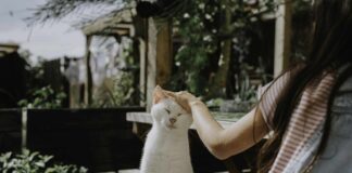 How the Parasympathetic Nervous System Influences Your Mental Health How the Parasympathetic Nervous System Influences Your Mental Health