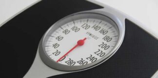 Including dessert in diet plans helps reduce cravings and maintain weight loss Including dessert in diet plans helps reduce cravings and maintain weight loss