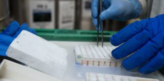 MAHA calls for more funding, but WH axed crucial nutrition studies MAHA calls for more funding, but WH axed crucial nutrition studies