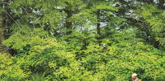 Make mental health matter Make mental health matter