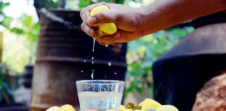 New food trends report highlights unique culinary experiences that people can expect in 2025 New food trends report highlights unique culinary experiences that people can expect in 2025