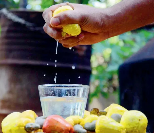 New food trends report highlights unique culinary experiences that people can expect in 2025 New food trends report highlights unique culinary experiences that people can expect in 2025