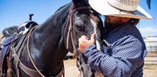 Outdoors a growing tool in veteran suicide prevention, mental health support | Western Colorado Outdoors a growing tool in veteran suicide prevention, mental health support | Western Colorado