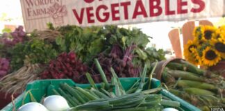 Program helps seniors afford fresh produce in South Carolina Program helps seniors afford fresh produce in South Carolina