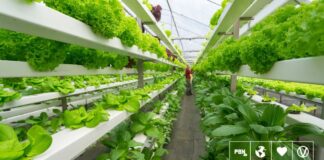 Seaweed, 3D Printing, And Holograms: Are These The British Food Trends Of The Future? Seaweed, 3D Printing, And Holograms: Are These The British Food Trends Of The Future?