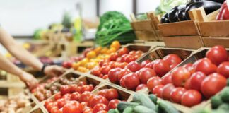 Senior Farmers’ Market Nutrition Program returns June 1 for residents in all counties Senior Farmers' Market Nutrition Program returns June 1 for residents in all counties