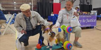 Seniors connect with resources at Health and Fitness Day in Lewisburg | News Seniors connect with resources at Health and Fitness Day in Lewisburg | News