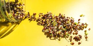 Spring food trends that are actually worth trying Spring food trends that are actually worth trying