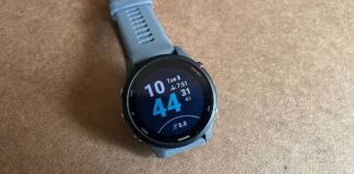 The Garmin 225 and 955 Are Still the Best Value Fitness Watches, and They’re Always on Sale The Garmin 225 and 955 Are Still the Best Value Fitness Watches, and They're Always on Sale