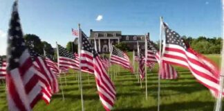 The mental health challenges veterans face after service The mental health challenges veterans face after service