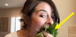 Uhhh, People Are Stuffing Plain Salad In Their Mouths — Here's What A Dietician Had To Say About It Uhhh, People Are Stuffing Plain Salad In Their Mouths — Here's What A Dietician Had To Say About It