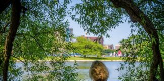 ‘A positive effect on well-being’ 'A positive effect on well-being'