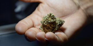 Calvert Health Officials Push For Action On Youth Cannabis Use, Mental Health Calvert Health Officials Push For Action On Youth Cannabis Use, Mental Health