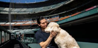 From Dugout to Zen Den, San Francisco Giants Champion Mental Wellness From Dugout to Zen Den, San Francisco Giants Champion Mental Wellness