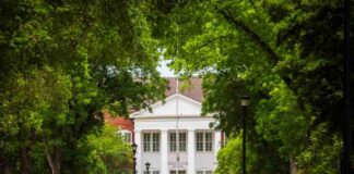 GSU students try farm life in Ireland, studying farmer mental health GSU students try farm life in Ireland, studying farmer mental health