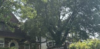 How Dr. David Fox uses targeted testing to help patients heal How Dr. David Fox uses targeted testing to help patients heal