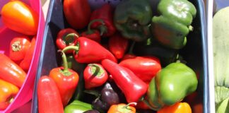 Jackson farmers market receives grant for nutrition programs – The Globe Jackson farmers market receives grant for nutrition programs - The Globe
