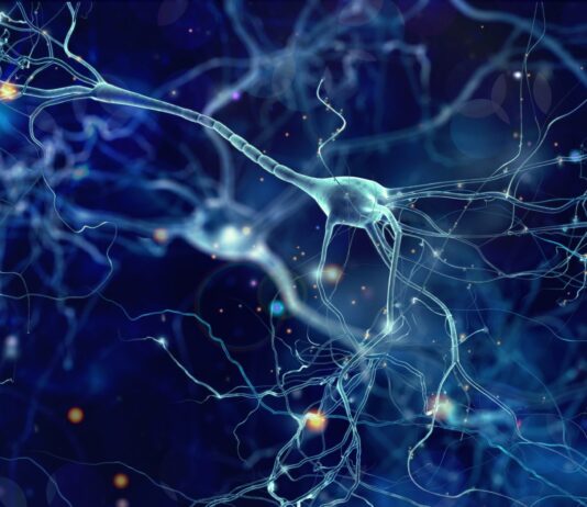Molecule breakthrough offers hope for MND treatment Neurons cells concept