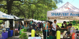 ND to boost awareness of SNAP acceptance at farmers markets / Public News Service In 2023, $70.6 million in SNAP benefits were spent at farmers markets, a 431% increase from $13.3 million in 2013, according to Investigate Midwest. (Photo courtesy Farmers Market Coalition)