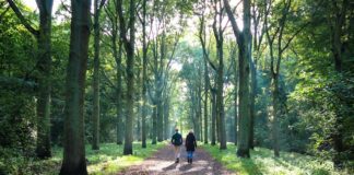 New research reveals an unexpected remedy for anxiety and stress: ‘Can improve mental health’ New research reveals an unexpected remedy for anxiety and stress: 'Can improve mental health'