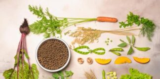 Plant-Based Pet Food Market Growth Driven by Sustainable Plant-Based Pet Food Market