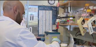 Salk Institute makes discovery in breast cancer treatment – NBC 7 San Diego Salk Institute makes discovery in breast cancer treatment – NBC 7 San Diego