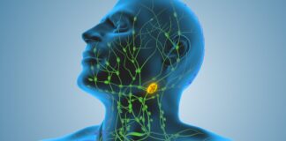 Scientists unveil terbium-161 breakthrough in targeted lymphoma treatment Lymphomas are a type of cancer that starts in the lymphatic system when abnormal white blood cells grow. The lymphatic system is made up of lymph glands throughout the body.