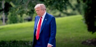 Trump’s nephew warns of dementia signs in the president: ‘I know the warning signs…’ Trump's nephew warns of dementia signs in the president: ‘I know the warning signs…’