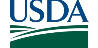 USDA’s Sun Meals aid Minnesota families with summer nutrition | Minnesota USDA's Sun Meals aid Minnesota families with summer nutrition | Minnesota
