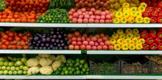Underserved Tennessee families to receive $120 for food through state initiative Underserved Tennessee families to receive $120 for food through state initiative