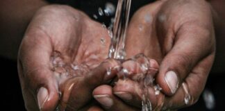 Water for Health, by Charlyn Fargo Water for Health, by Charlyn Fargo