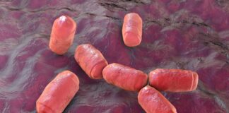 What methane in your gut says about your diet What methane in your gut says about your diet