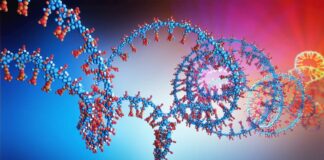 Avidity gets FDA breakthrough therapy status for DMD treatment Avidity gets FDA breakthrough therapy status for DMD treatment