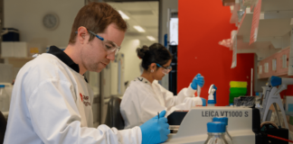 Breakthrough Discovery in Brain Stem Cell Study Article Image