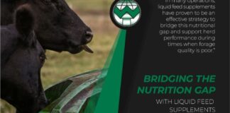 Bridging the Nutrition Gap Bridging the Nutrition Gap